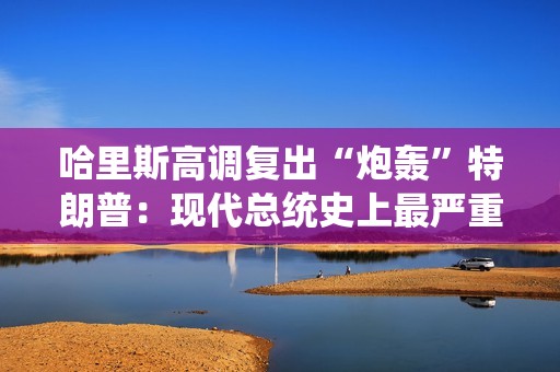 哈里斯高调复出“炮轰”特朗普：现代总统史上最严重的人为经济危机