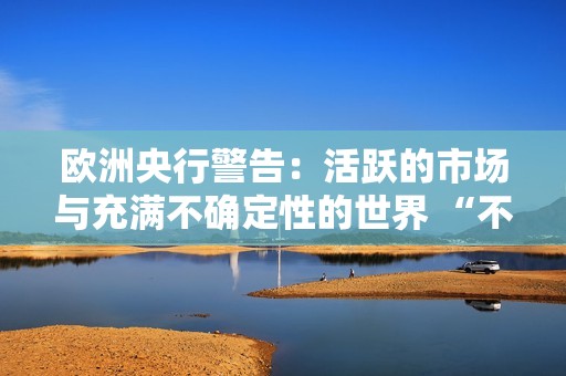 欧洲央行警告：活跃的市场与充满不确定性的世界 “不同步”