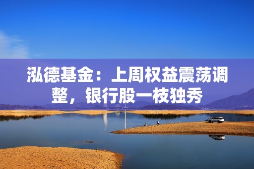 泓德基金：上周权益震荡调整，银行股一枝独秀