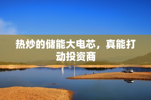 热炒的储能大电芯，真能打动投资商