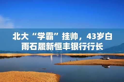 北大“学霸”挂帅，43岁白雨石履新恒丰银行行长