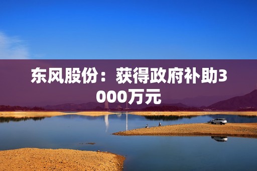 东风股份：获得政府补助3000万元