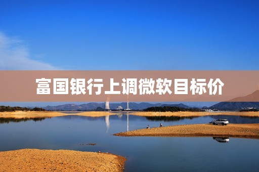富国银行上调微软目标价