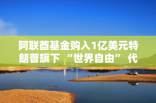 阿联酋基金购入1亿美元特朗普旗下 “世界自由” 代币