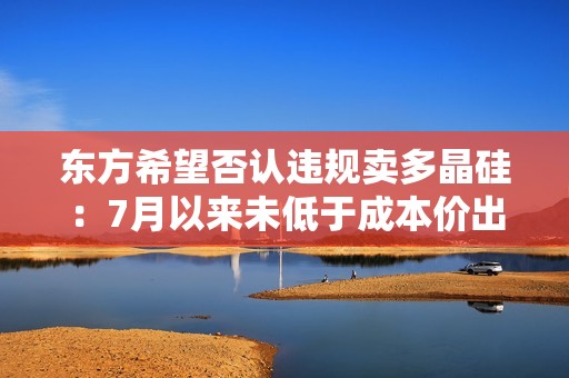 东方希望否认违规卖多晶硅：7月以来未低于成本价出货