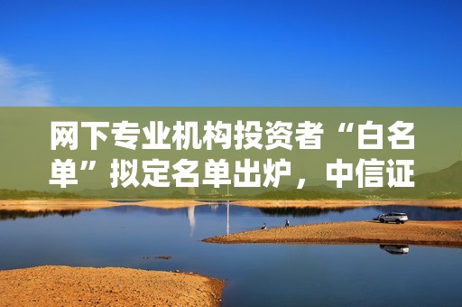 网下专业机构投资者“白名单”拟定名单出炉，中信证券等21家机构入围