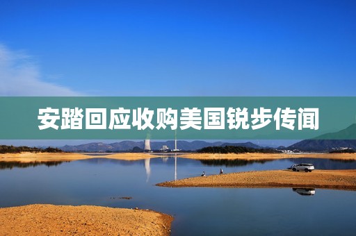 安踏回应收购美国锐步传闻