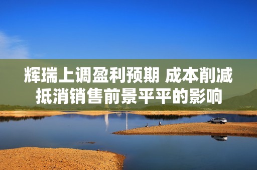 辉瑞上调盈利预期 成本削减抵消销售前景平平的影响