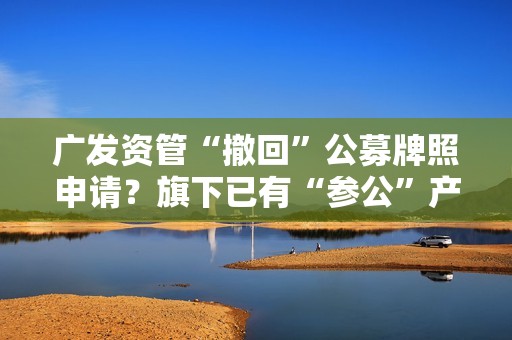 广发资管“撤回”公募牌照申请？旗下已有“参公”产品变更管理人