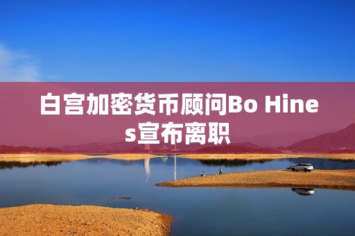 白宫加密货币顾问Bo Hines宣布离职
