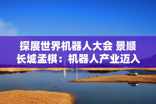 探展世界机器人大会 景顺长城孟棋：机器人产业迈入新阶段