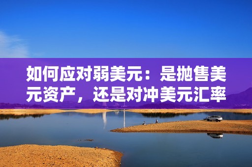 如何应对弱美元：是抛售美元资产，还是对冲美元汇率？