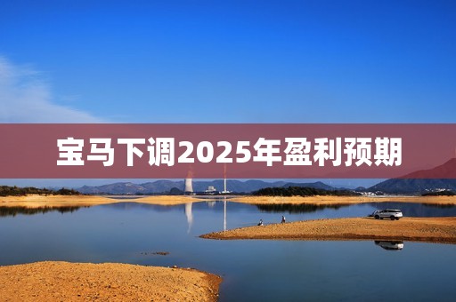 宝马下调2025年盈利预期