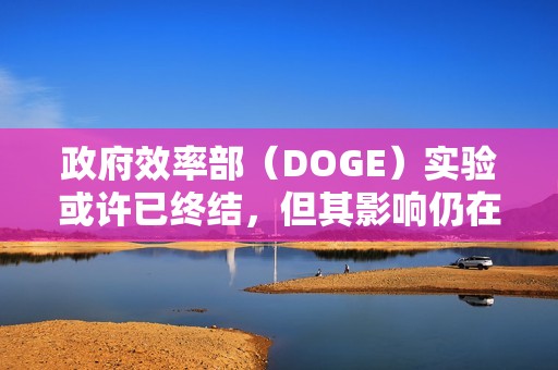 政府效率部（DOGE）实验或许已终结，但其影响仍在美企中延续
