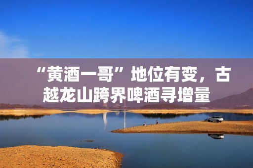 “黄酒一哥”地位有变，古越龙山跨界啤酒寻增量