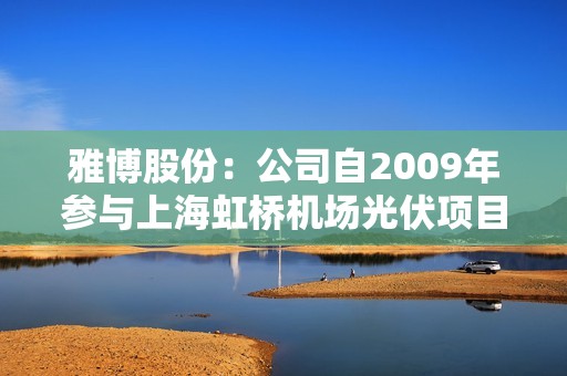 雅博股份：公司自2009年参与上海虹桥机场光伏项目后，逐步拓展新能源EPC