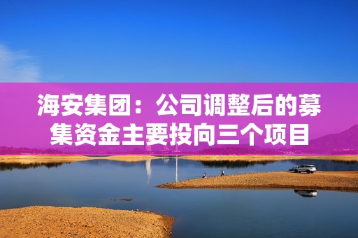 海安集团：公司调整后的募集资金主要投向三个项目