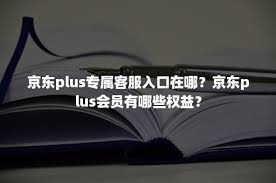 白条取现攻略：轻松取现白条到账！