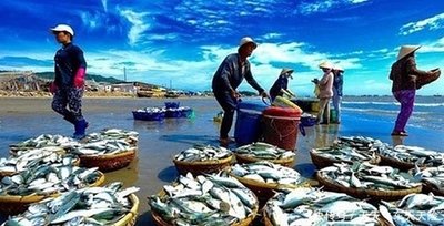 贸发会议报告：美国关税政策冲击全球渔业贸易