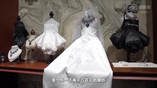 杭州现“12800元宠物婚纱”，店主回应热议：买家定制，买的是情感