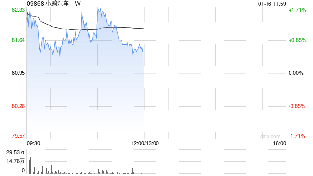 大华继显：降小鹏汽车-W目标价至125港元 研发支出激增抵销交付增长动能